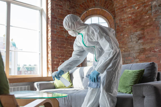  , USA Mold Removal Services Pros